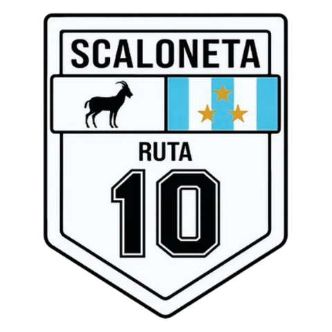 Sticker Selección Argentina · 42